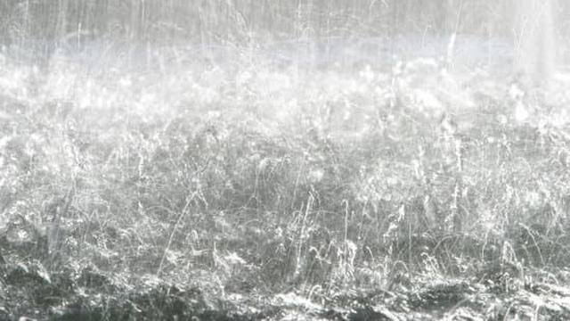 Images (21)