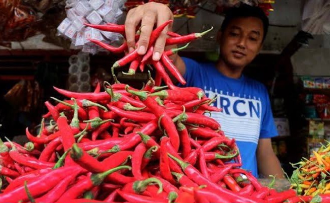penamerdeka pedagang cabai