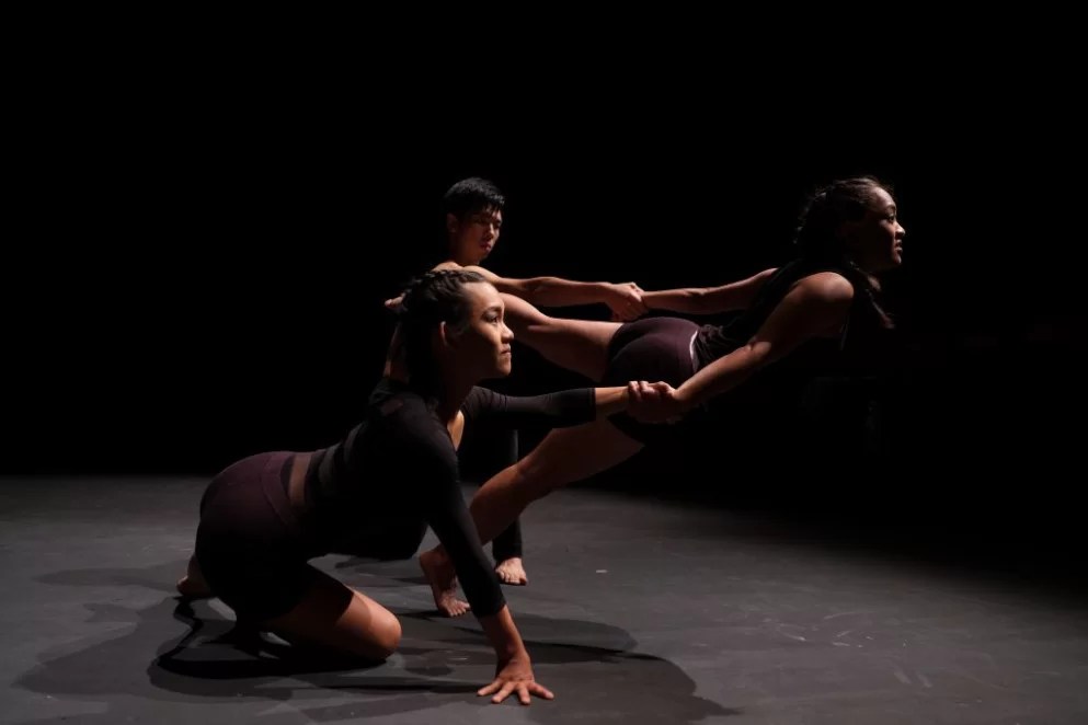 Participate penangpac