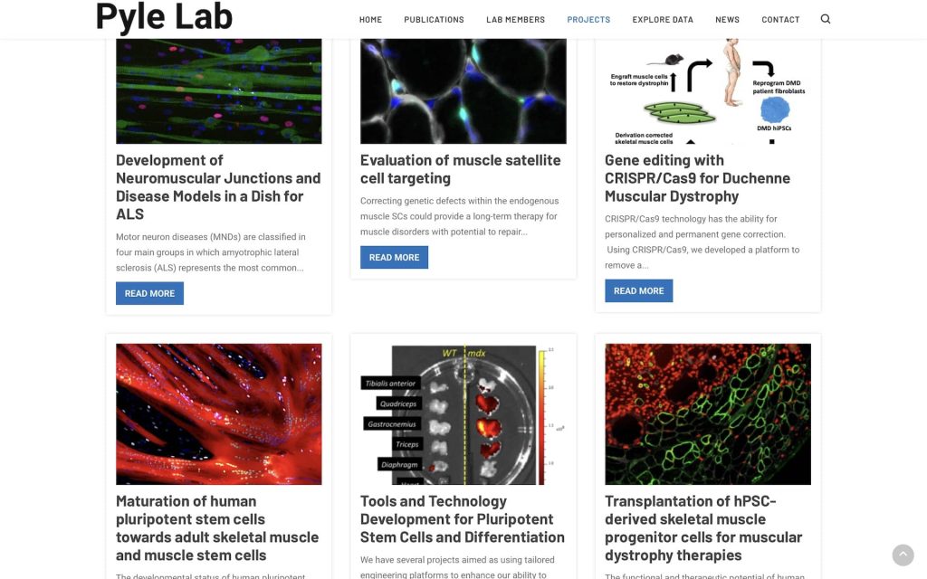 Pyle Lab Pendari, Inc.