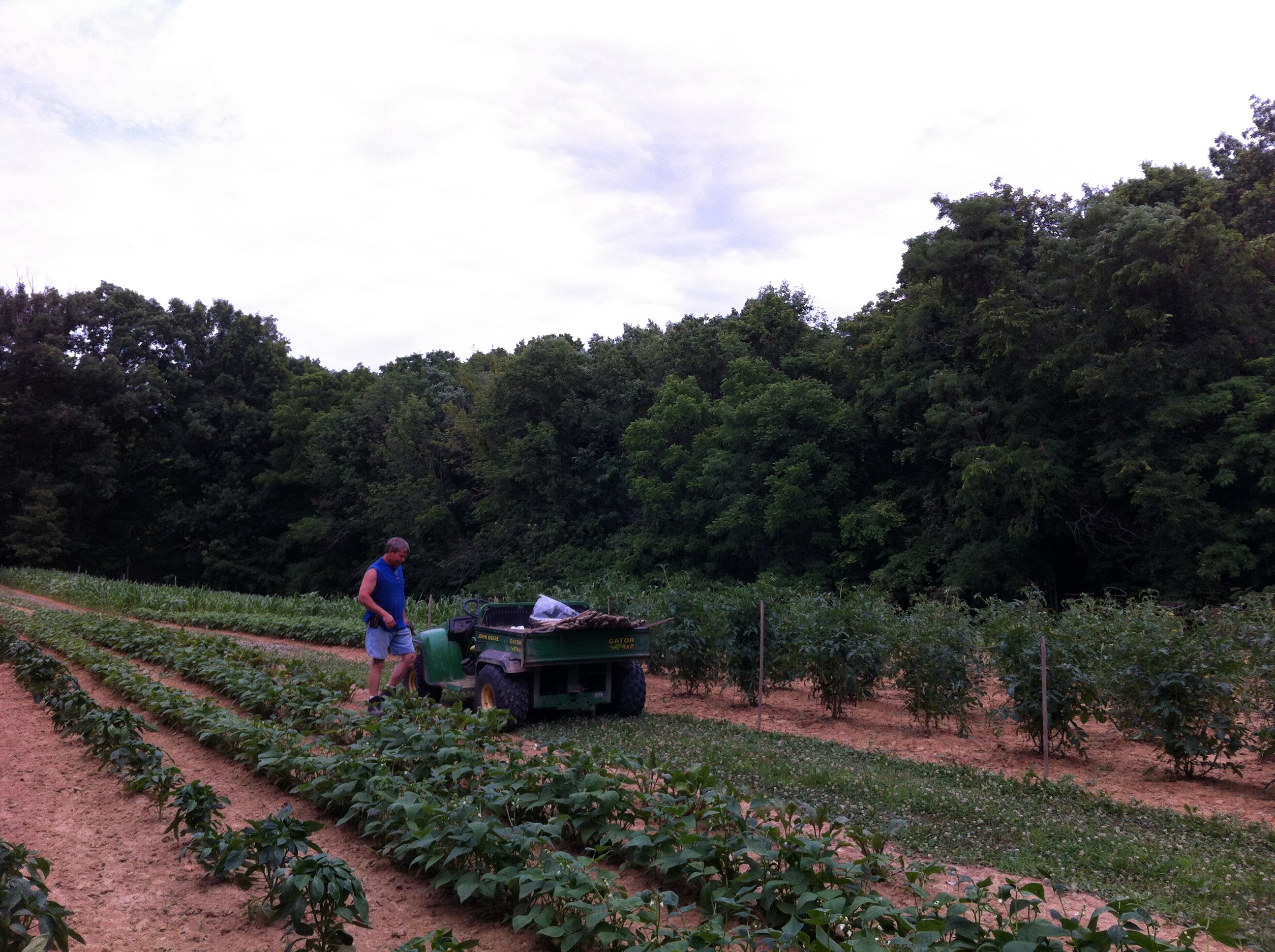 Faith Acres Farm Visit Pendleton County