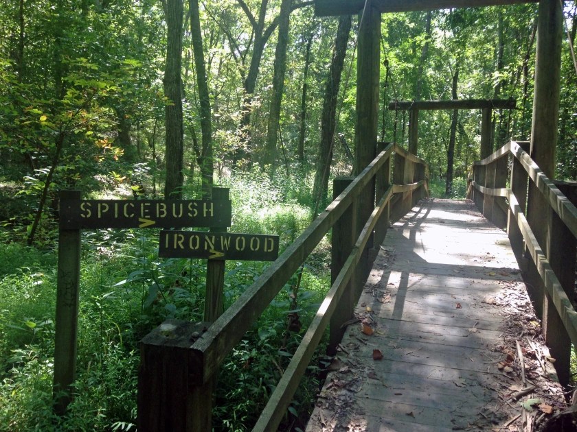 Spicebush Trail at Kincaid Lake Park Pendleton County Trails