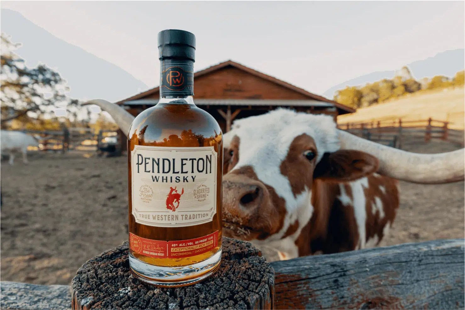 Our Bold History Pendleton Whisky