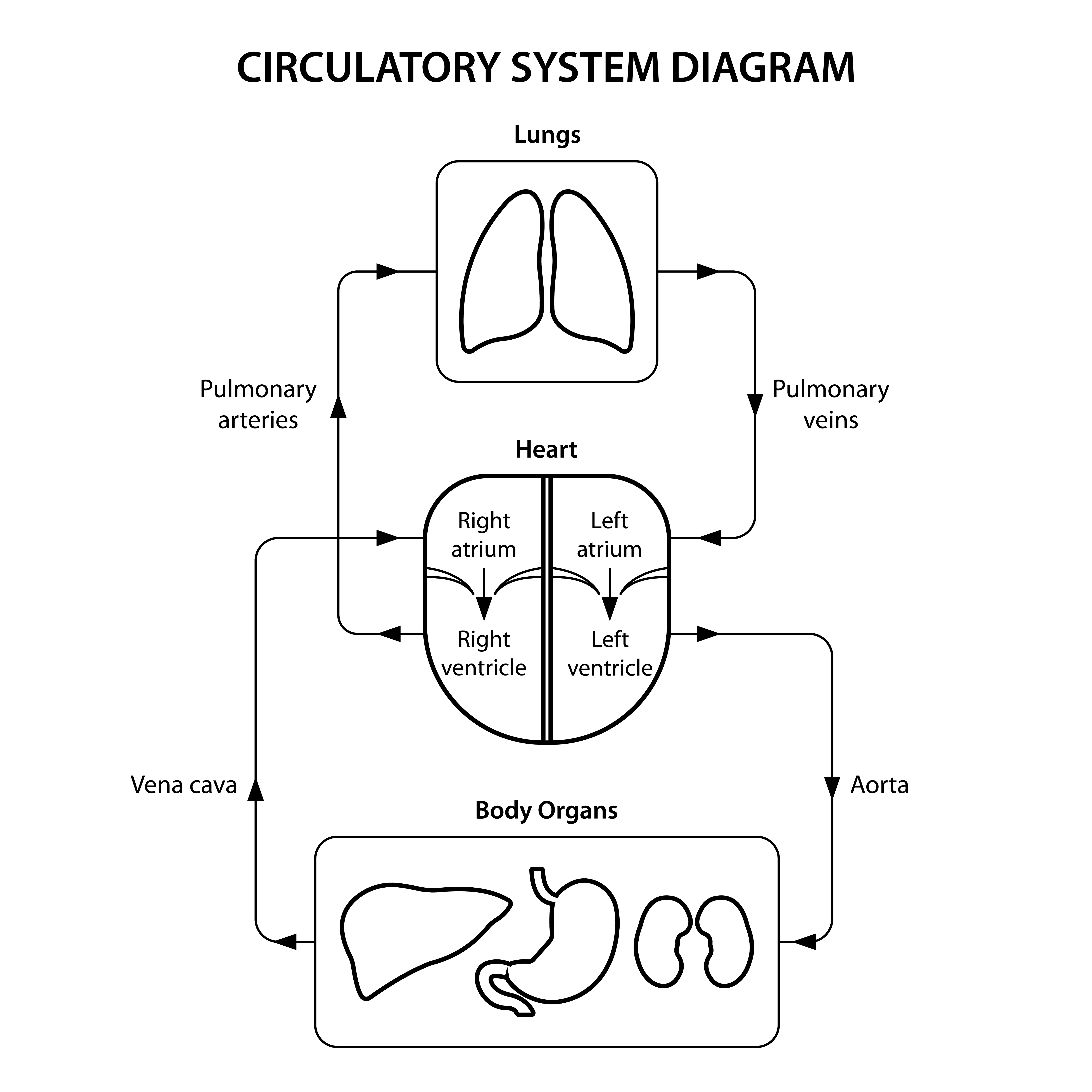 Class 7 Science Chapter 11 Notes