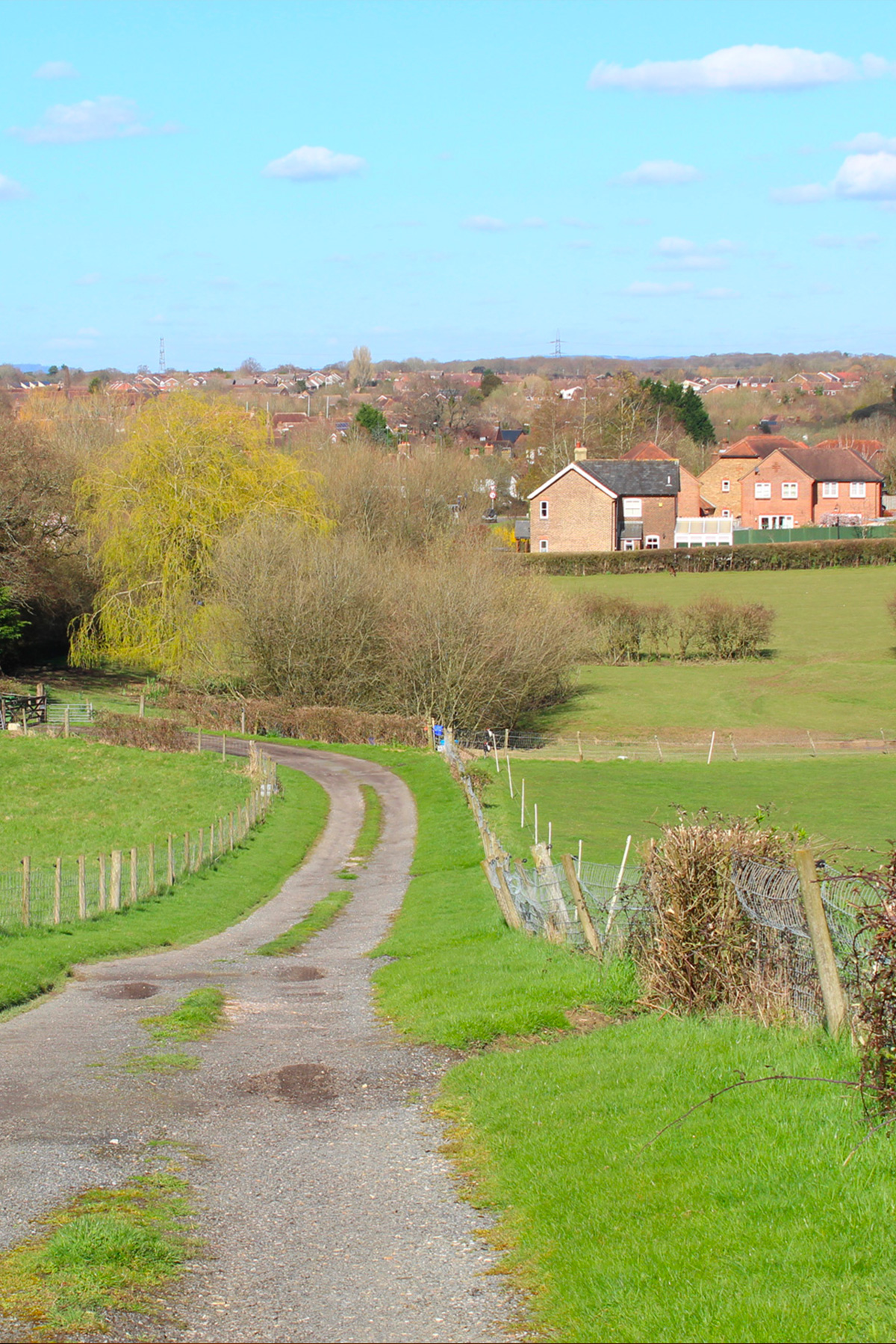 Billingshurst Village Guide PenfoldsPenfolds