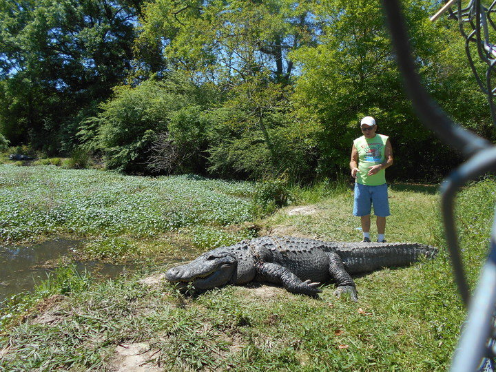 10 Things to Do in Louisiana (other than Mardi Gras & New