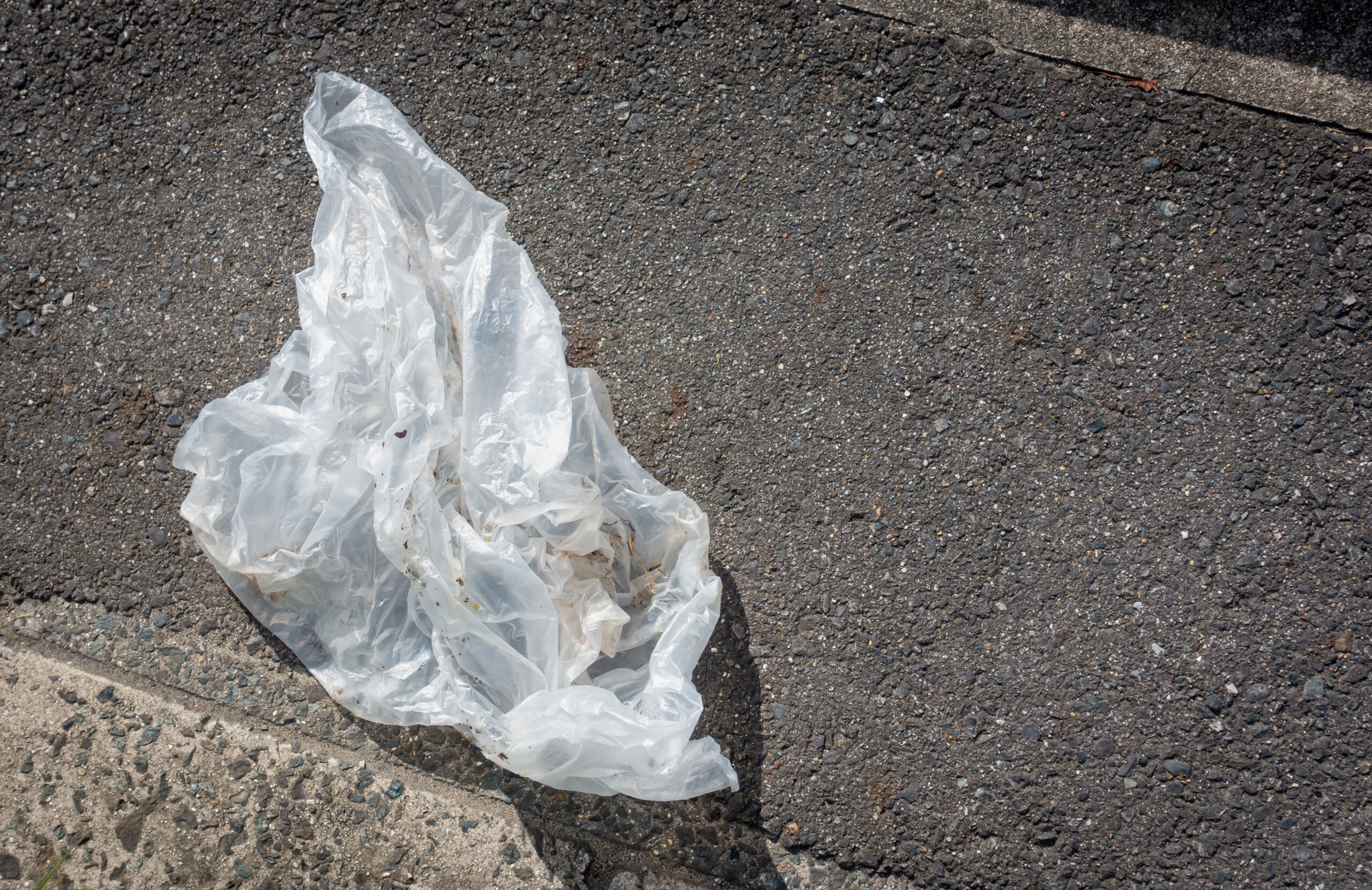 What are the statewide impacts of a plastic bag ban? Analysis • Pennsylvania CapitalStar