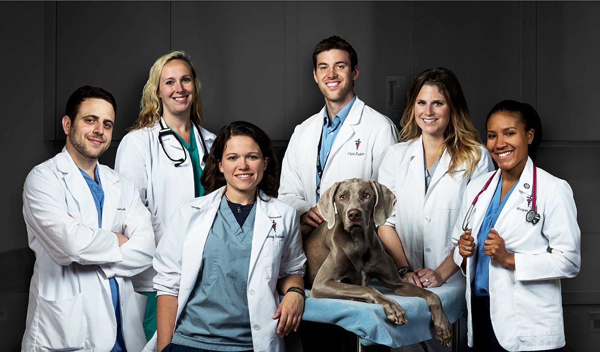 Penn Vet stars in Animal 'Life at Vet U' Penn Current