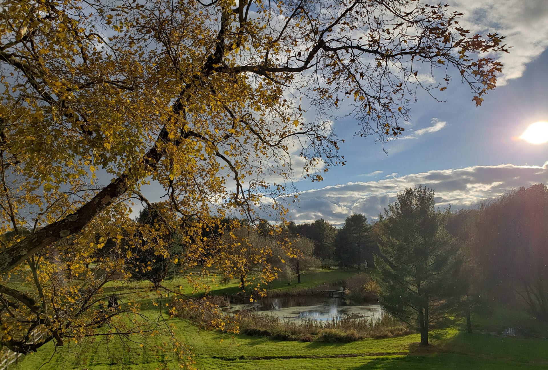 Horse Farm and Training Ground, Stockton, NJ