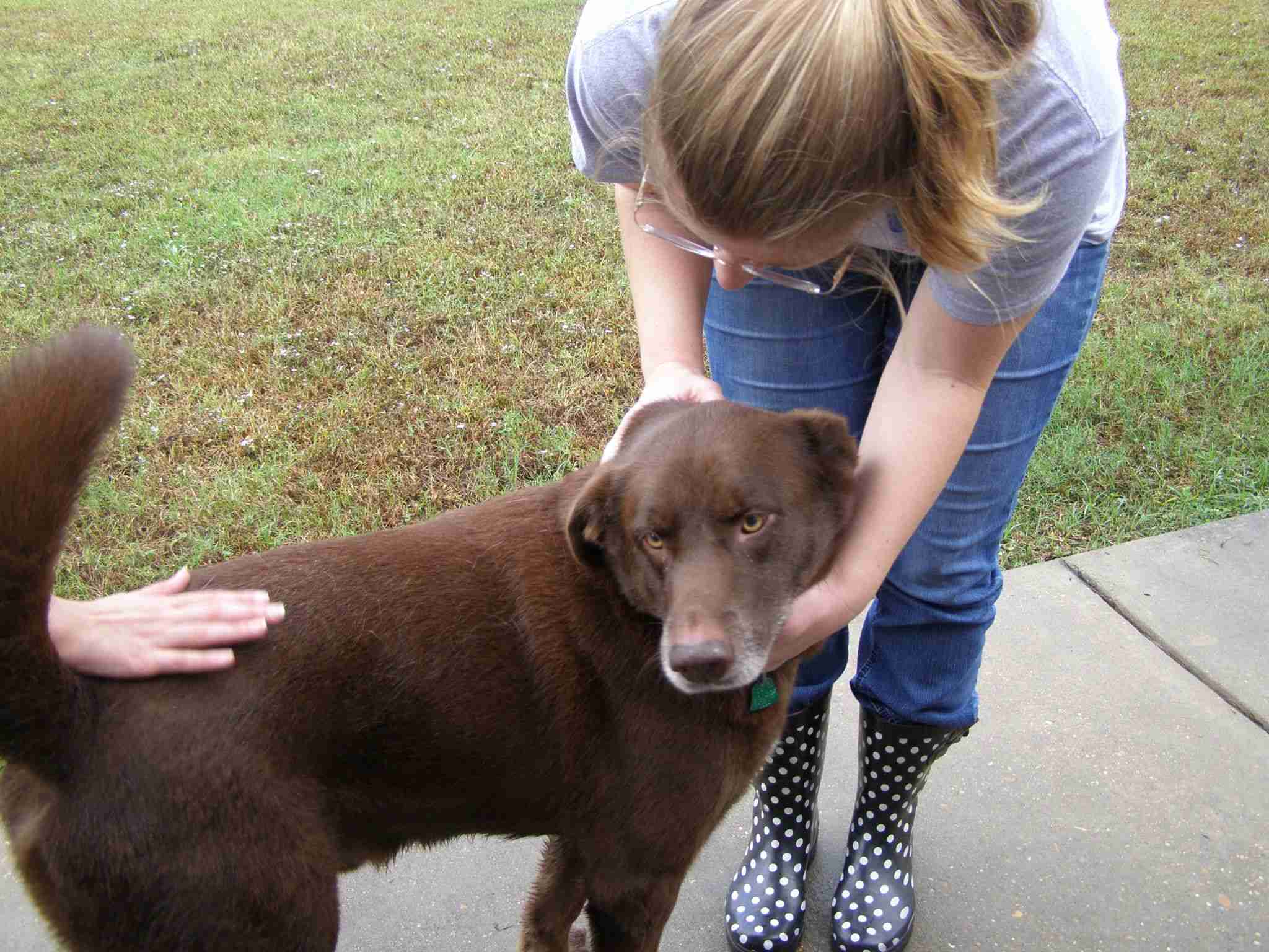 MS Animal Rescue League Pennington & Trim Alarm Services Inc