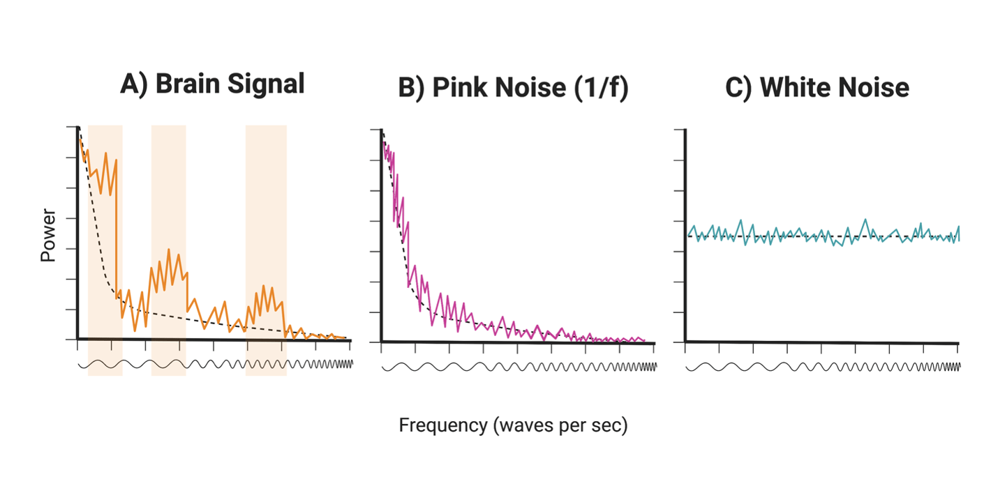 Cutting through the “noise” PennNeuroKnow