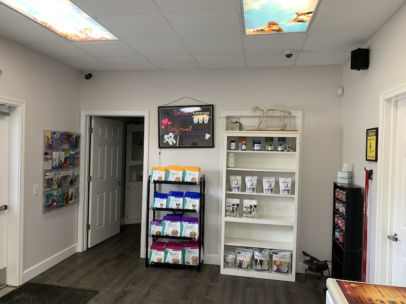 PennOhio Veterinary Services Best Veterinarian West Middlesex, PA