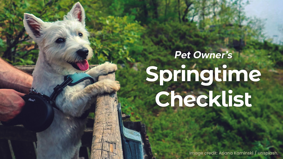 Pet Owner’s Springtime Checklist PennOhio Veterinary Services