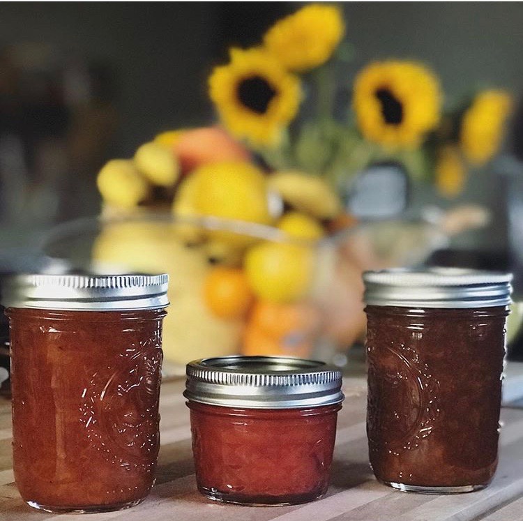 Dried Apricot Jam [SugarFree, 3 ingredients] Penny Benjamin