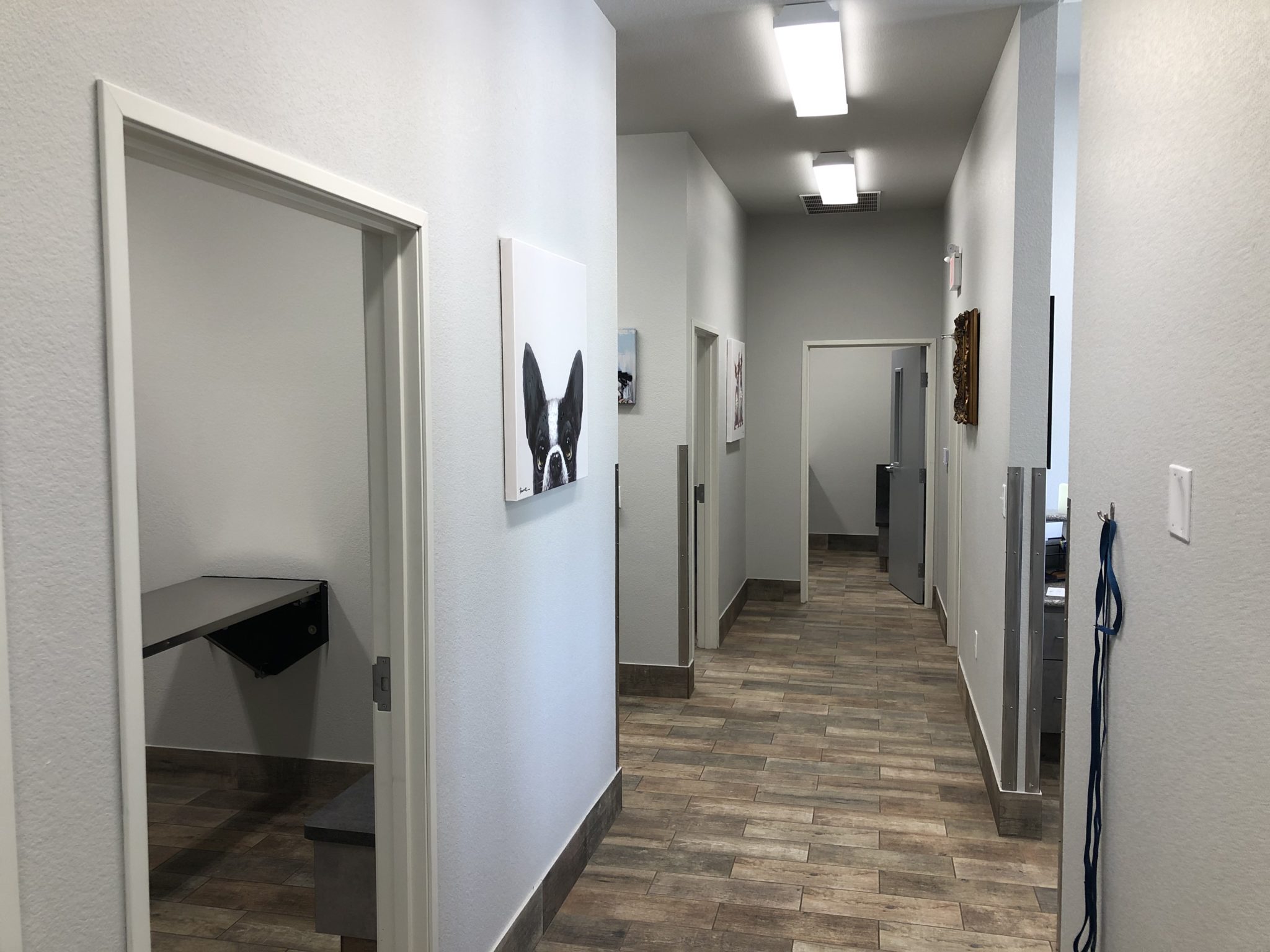 Veterinarian in Grand Prairie, TX Penny Paws