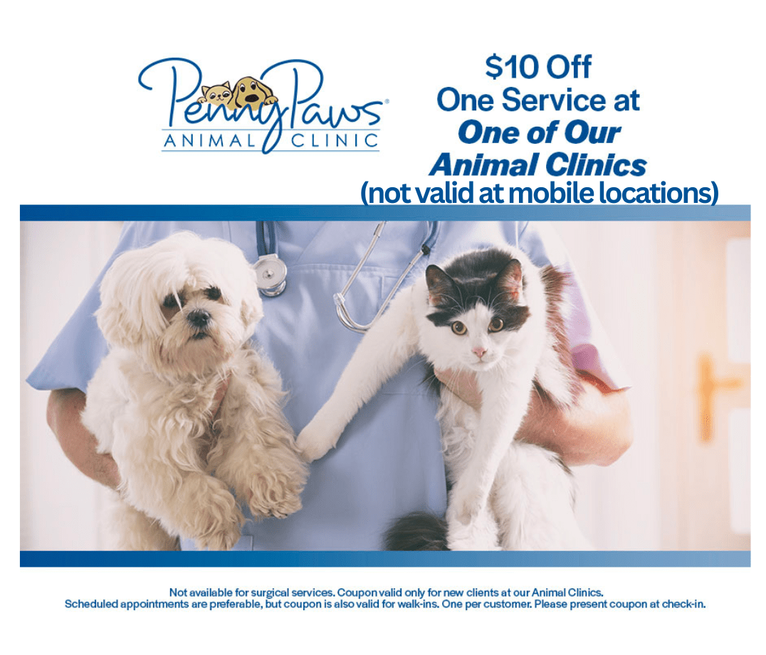 Veterinary Specials and Coupons Penny Paws Animal Clinic