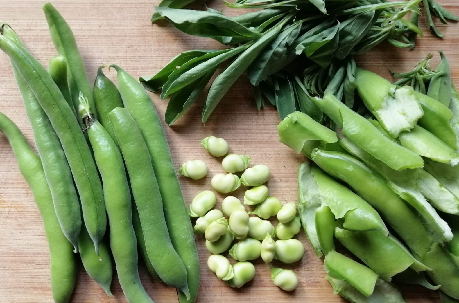 Broad Bean recipes for more than just the bean Penny Post