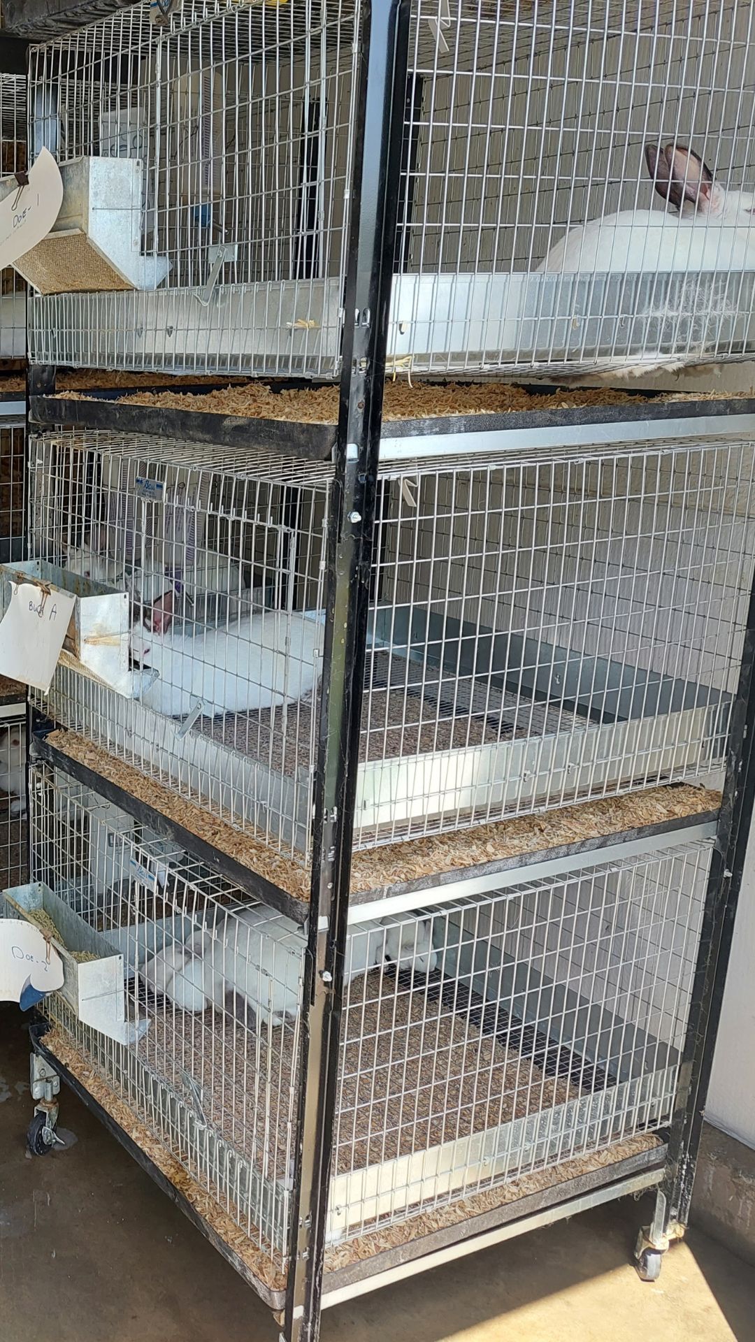 Rabbit Cages For Sale KC's Tiny Urban Farm