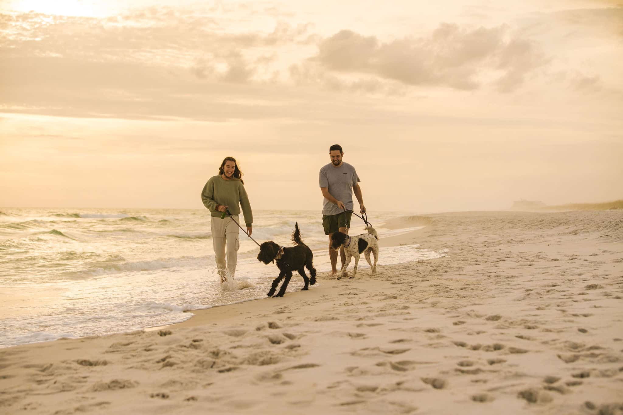 Can You Take Dogs On Pensacola Beach