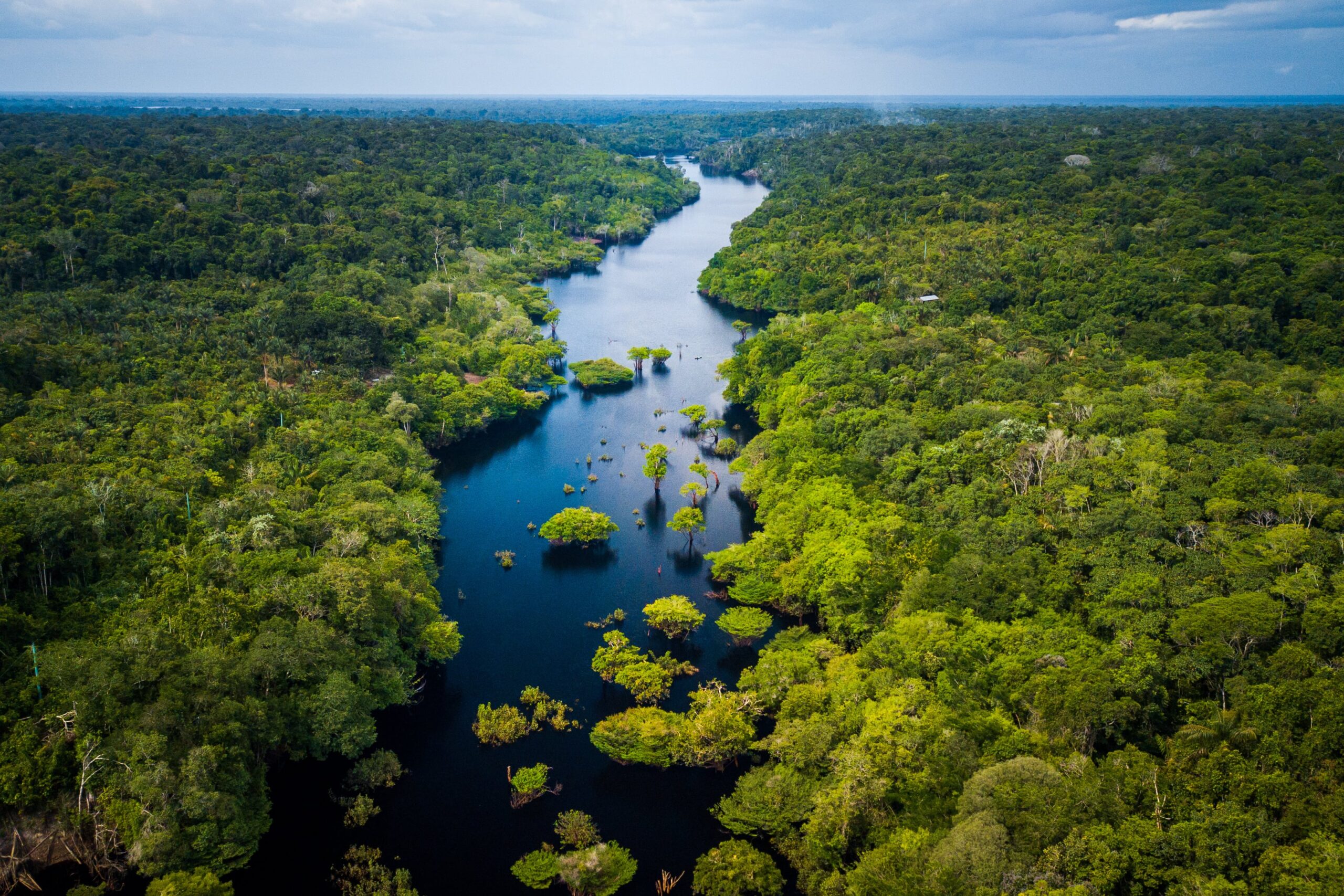La Amazonía tiene voz en el PND 20222026 Centro de Pensamiento Amazonias
