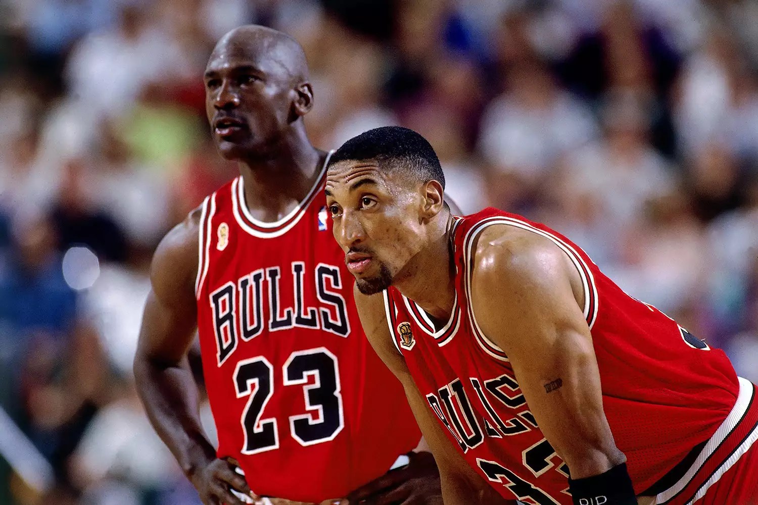 Scottie Pippen and Michael Jordan