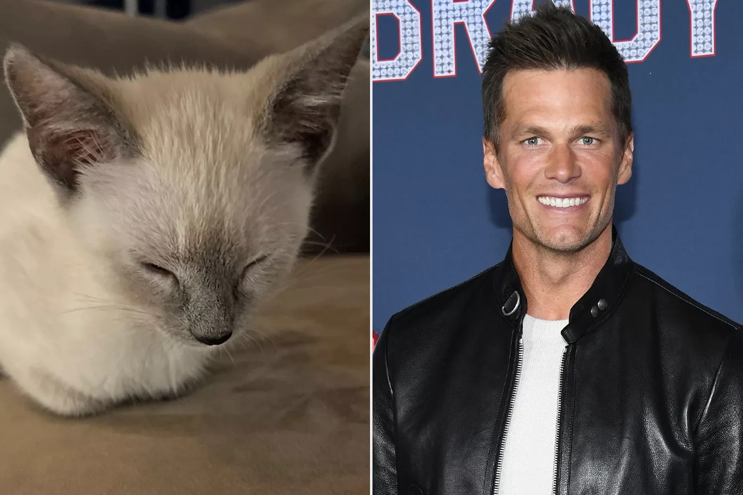 Tom Brady&rsquo;s Daughter Vivian Uses &lsquo;Dad&rsquo;s Phone&rsquo; to Post Pictures of the Family&rsquo;s New Rescue Kittens
