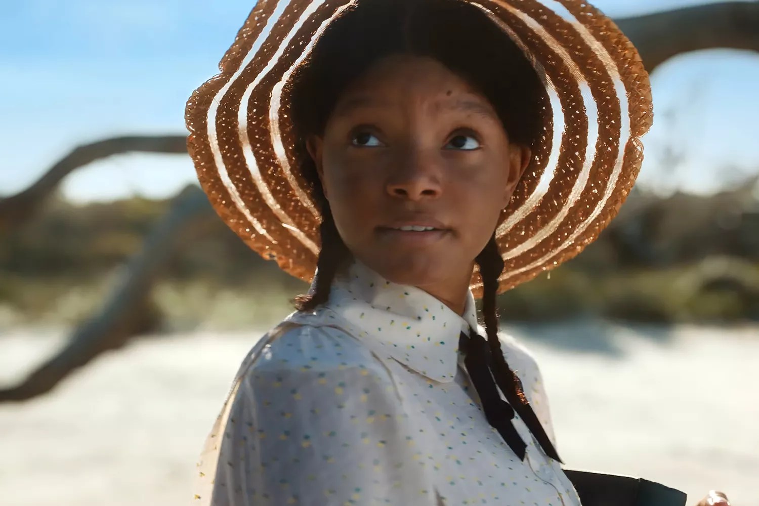 https://www.youtube.com/watch?v=wPwzBUui1GA The Color Purple | Official Trailer Warner Bros. Pictures 10.9M subscribers