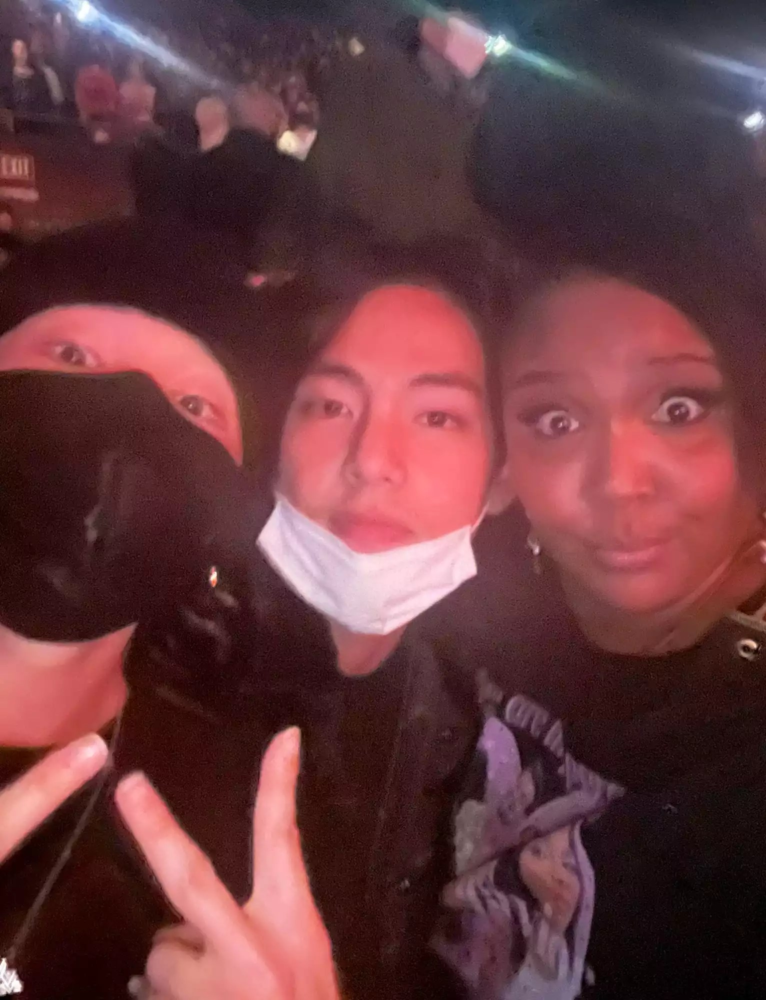 BTS and Lizzo Attended Harry Styles Concert