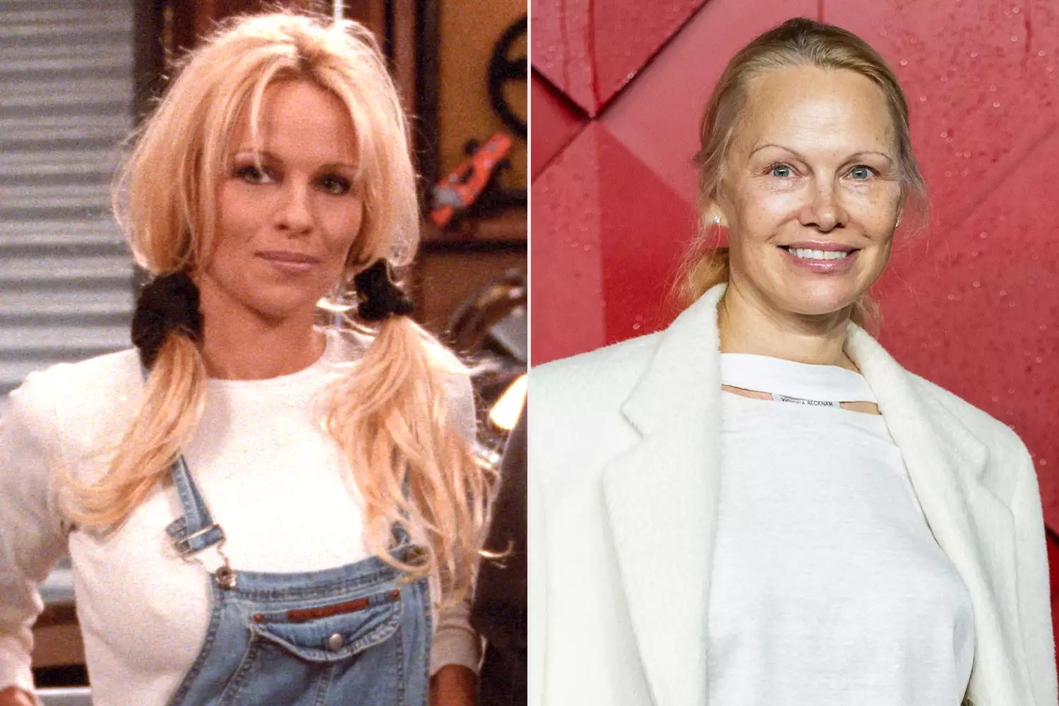 HOME IMPROVEMENT, Pamela Anderson; Pamela Anderson