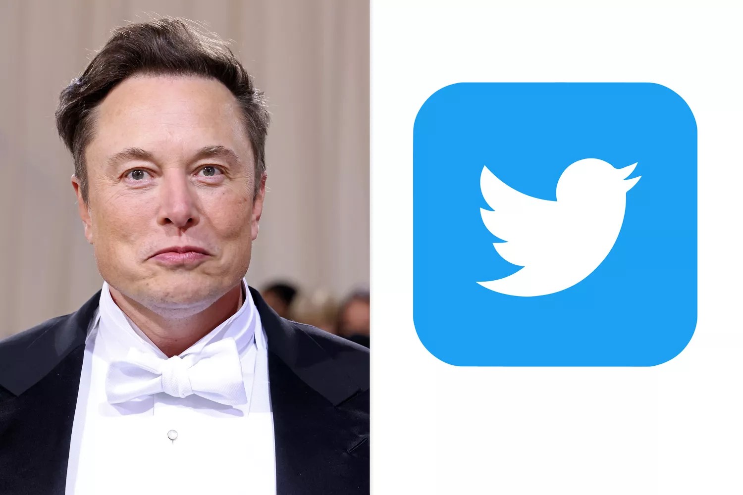 Elon Musk attends &ldquo;In America: An Anthology of Fashion,&rdquo; the 2022 Costume Institute Benefit; Twitter Logo