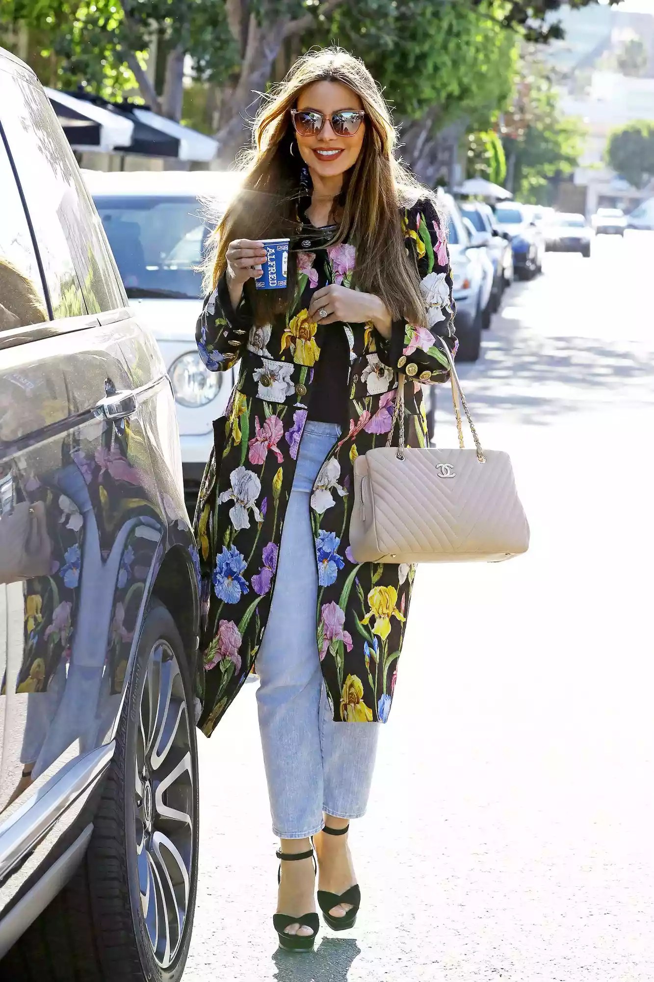 Sofia Vergara