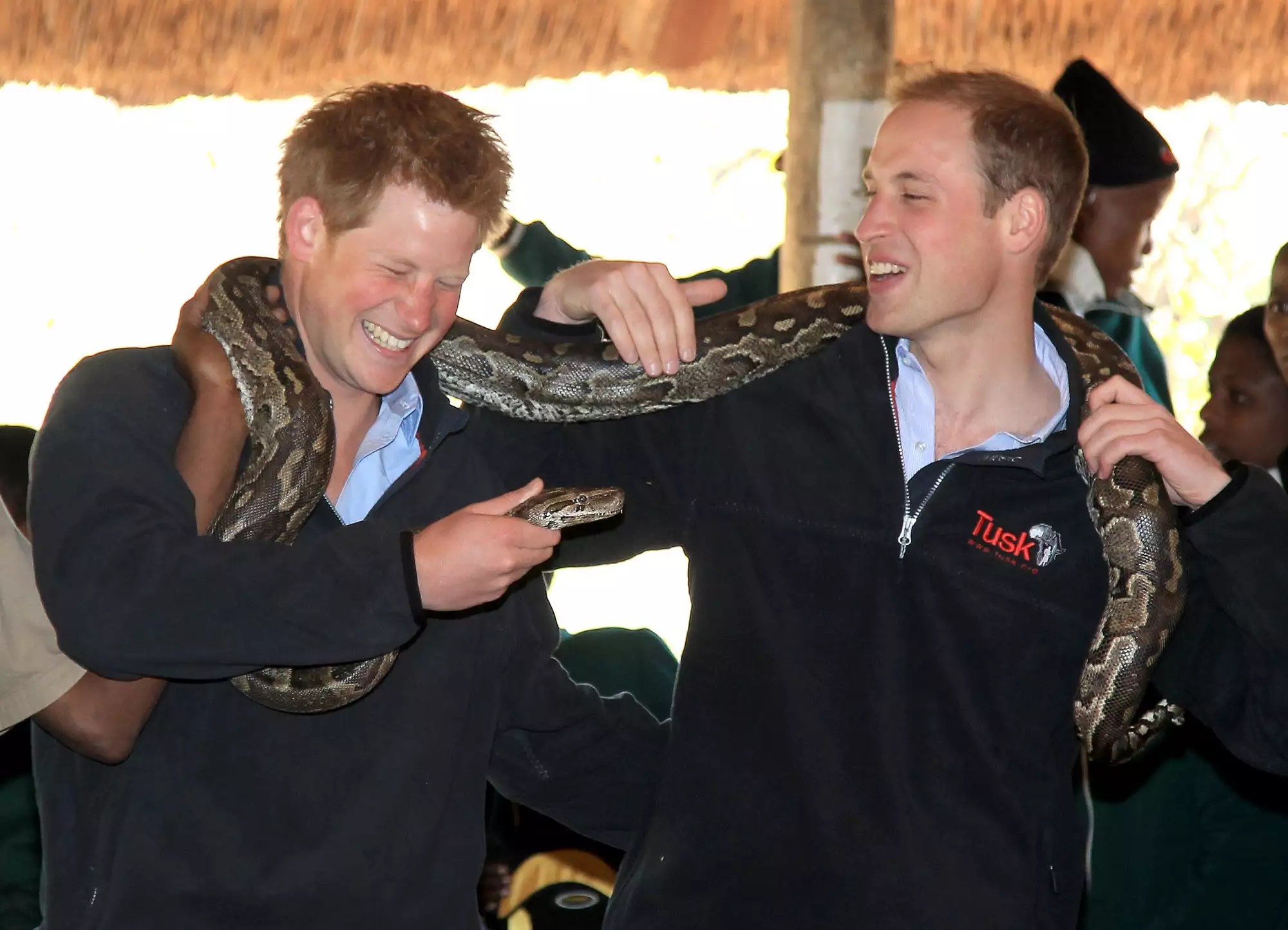 Prince Harry Africa
