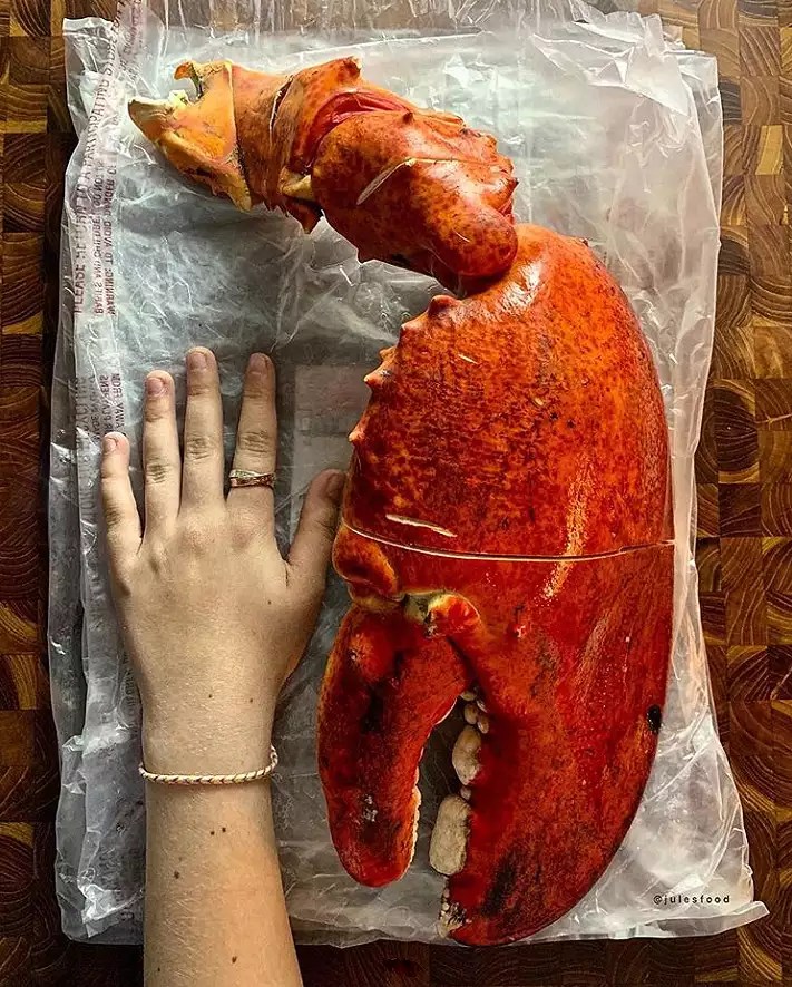 lobster-2