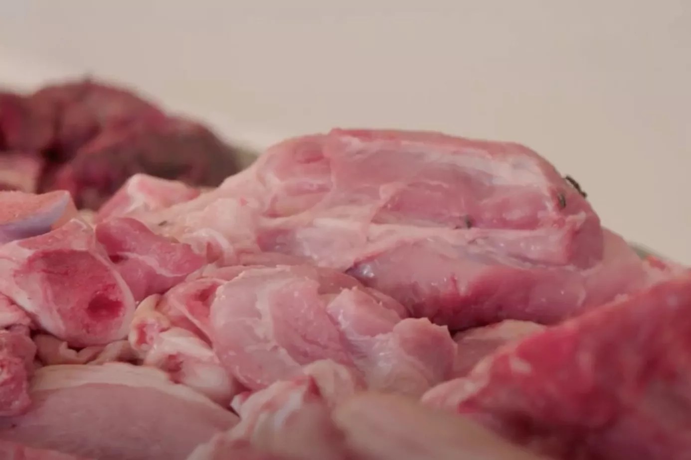 90 Day: Daniele&rsquo;s &lsquo;Disgust&rsquo; Upsets Yohan amid Discovery He Doesn&rsquo;t Refrigerate Meat at His Butcher Shop
