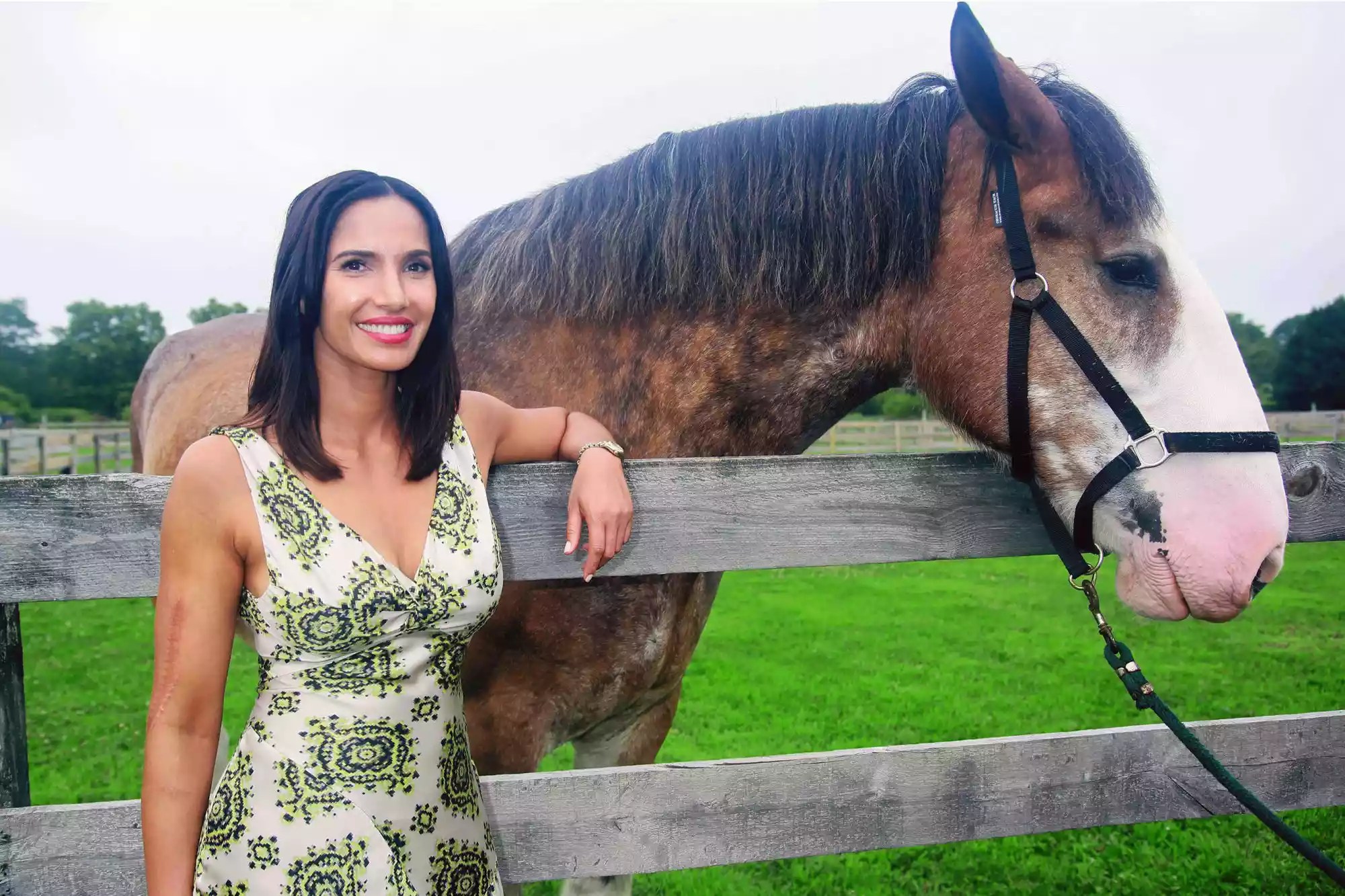 Padma Lakshmi at Chefs &amp; Champange Hamptons