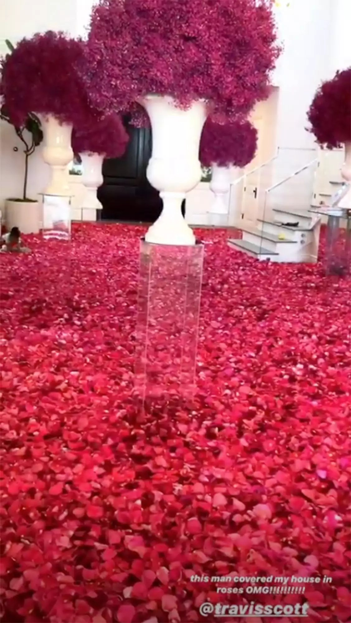 Kylie Jenner house covered in roses