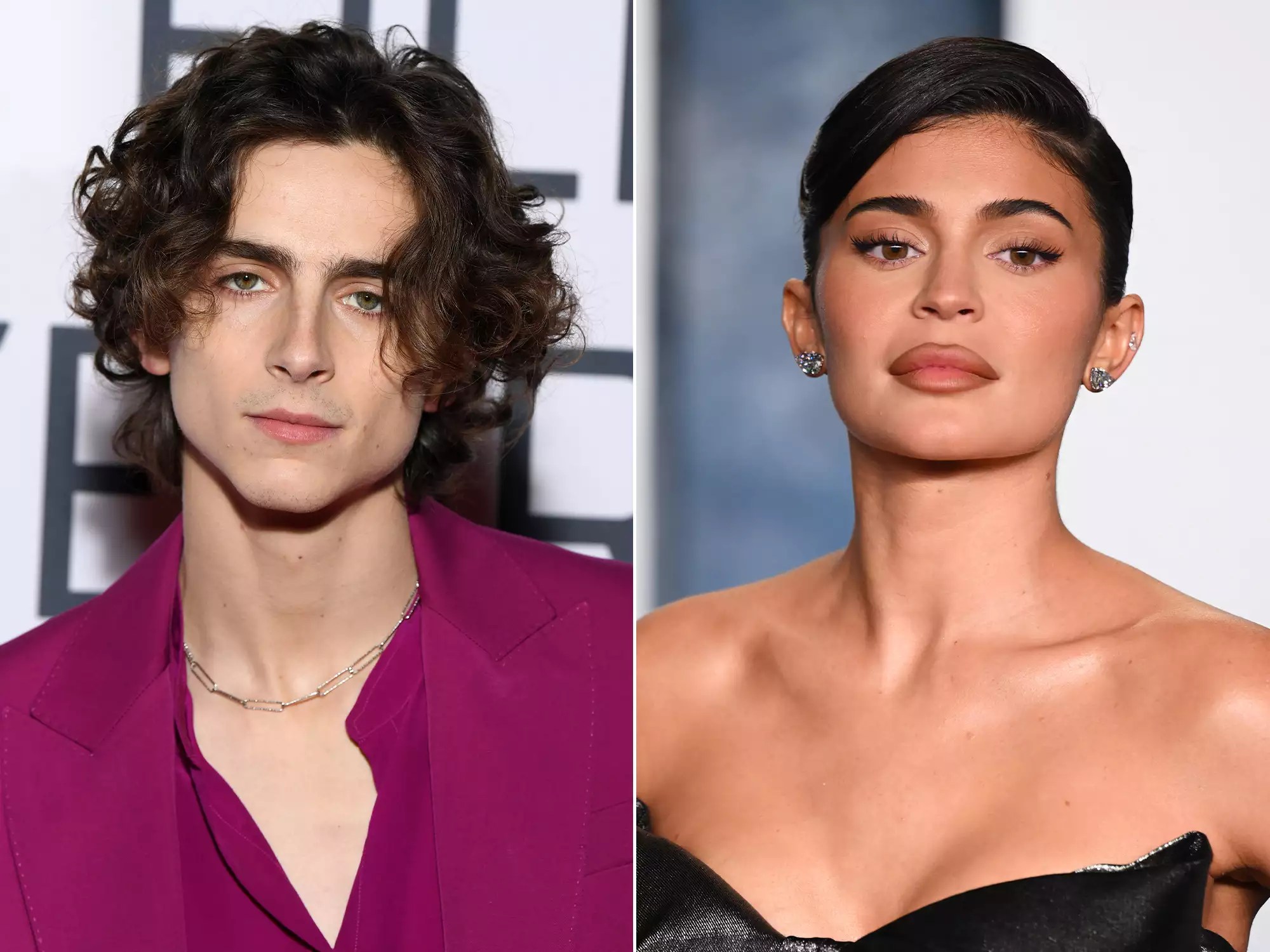 Timothee Chalamet and Kylie Jenner