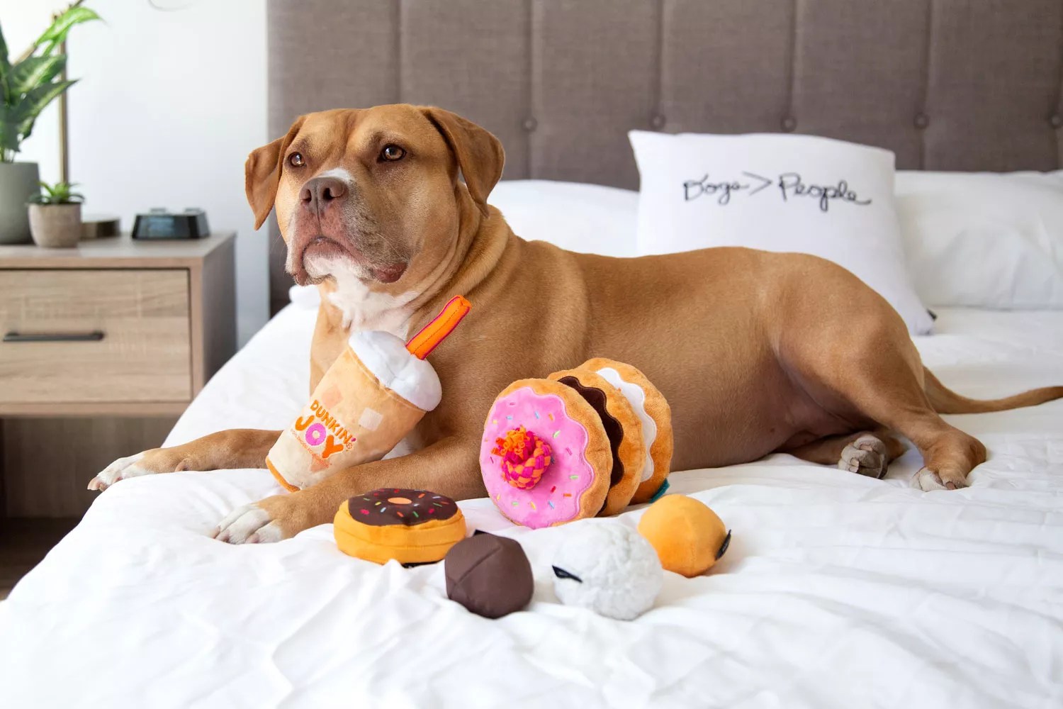 bark dunkin donuts dog toys