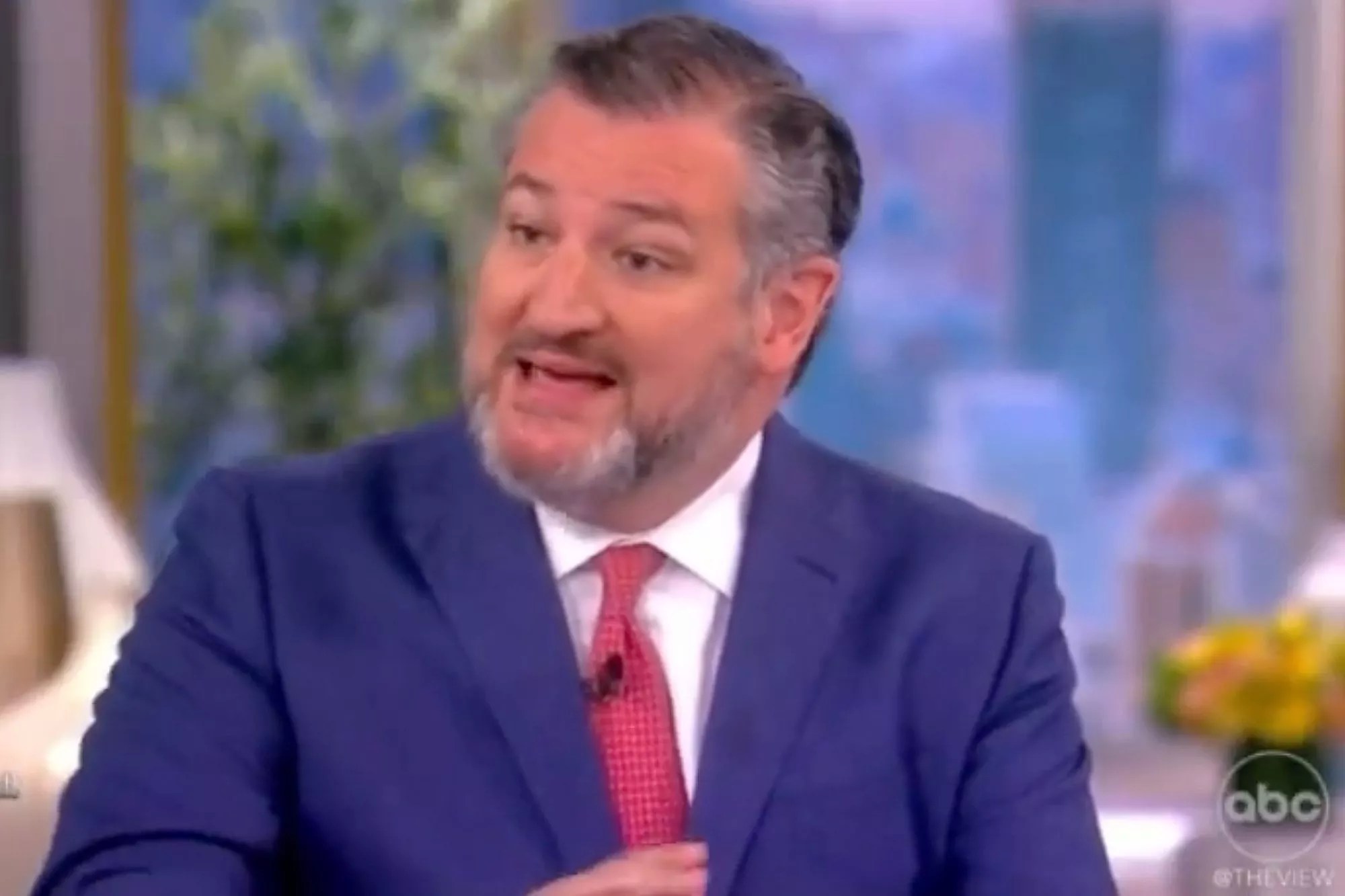Whoopi Goldberg Gets Feisty When Protesters Disrupt Ted Cruz&rsquo;s View Appearance. The View