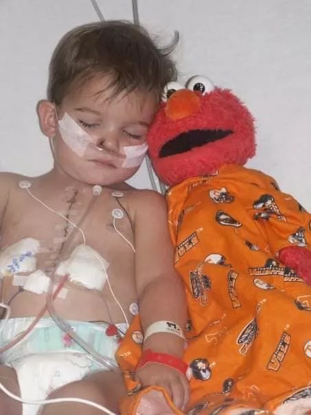 Elmo Doll Missing for 10 Years Returns to Late Boy&rsquo;s Mom