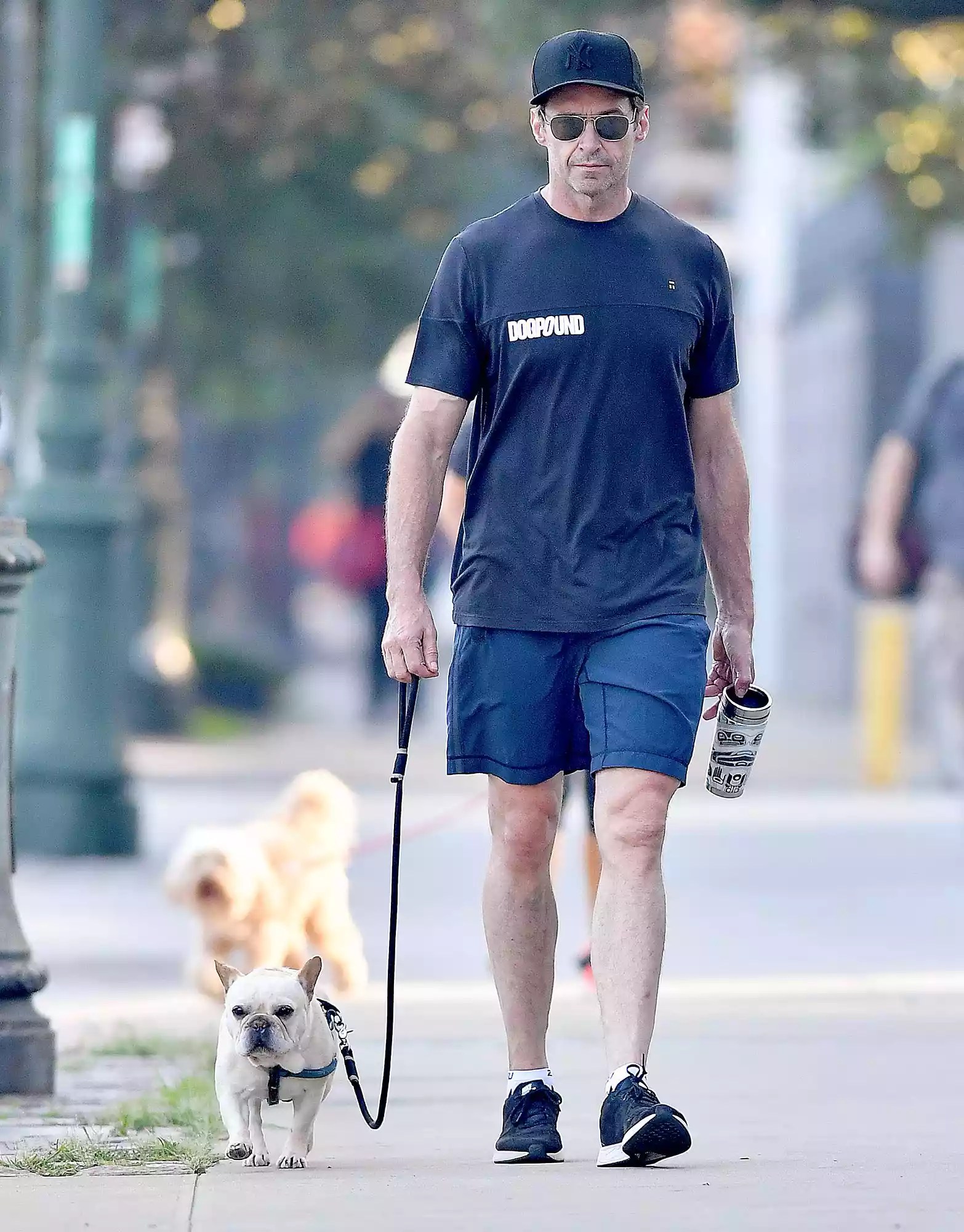 EXCLUSIVE: Hugh Jackman walks his dog Dali in New York City