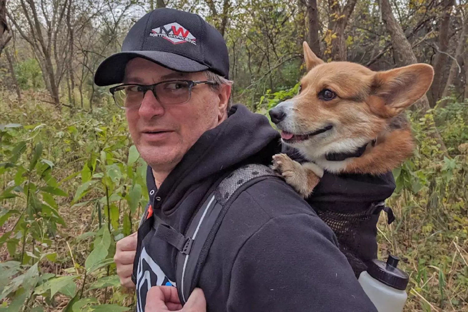 Corgi Gets Skis for Wheelchair