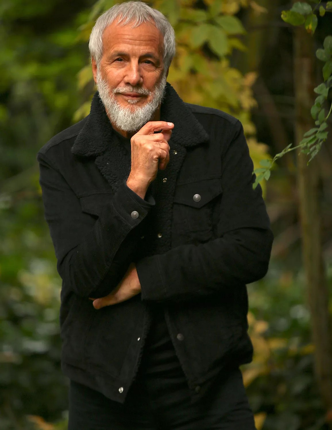 Cat Stevens