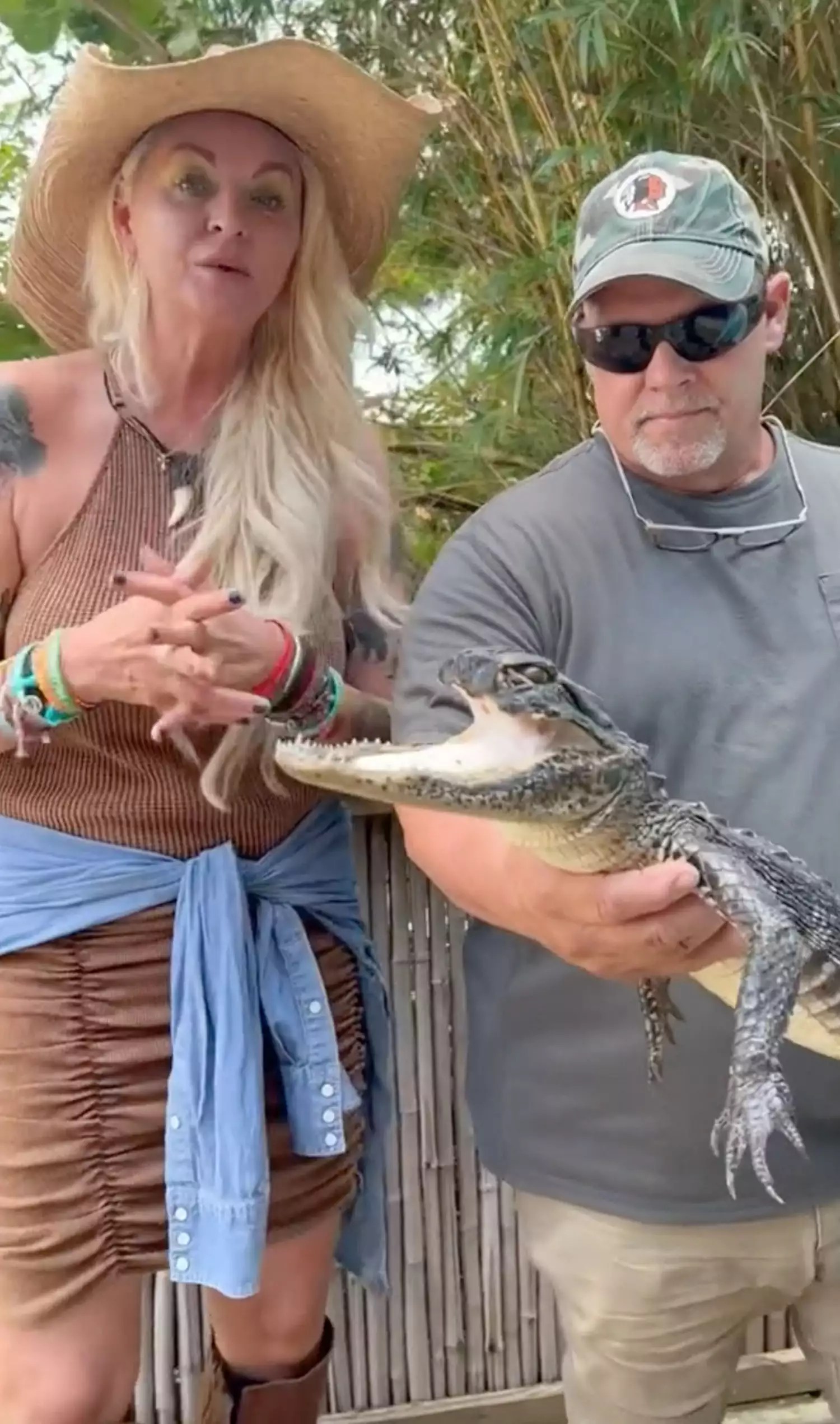 An alligator found with a missing upper jaw and nose has a new home at a Florida reptile park