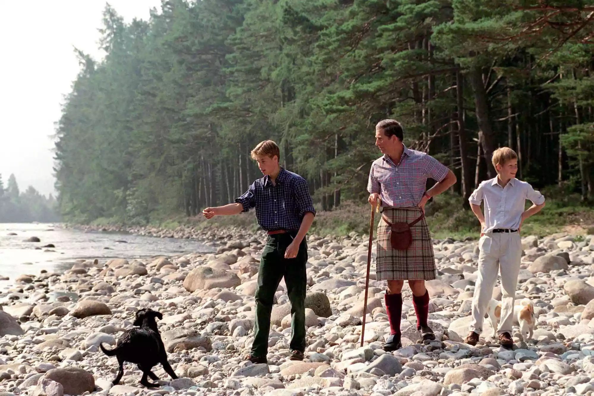 Charles, William, Harry And Dogs
