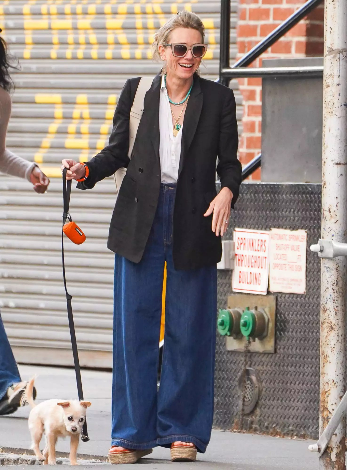 Naomi Watts is pictured on a dog walk in New York City.
