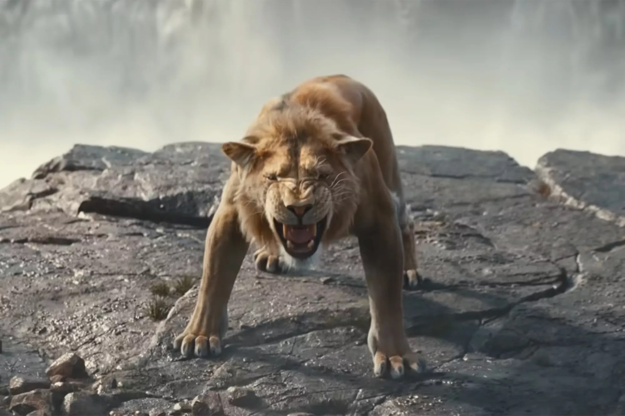 &lsquo;Mufasa: The Lion King&rsquo;.