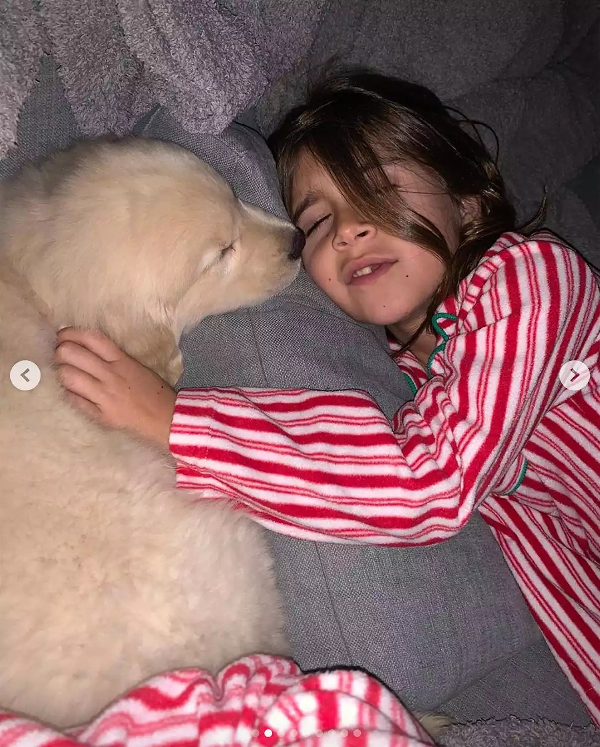 Kourtney Kardashian puppy