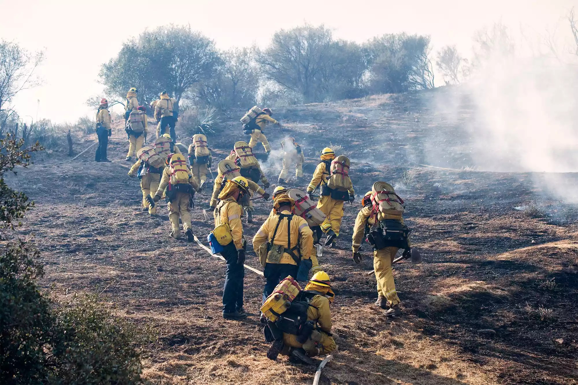 Woolsey Fire: Day 4