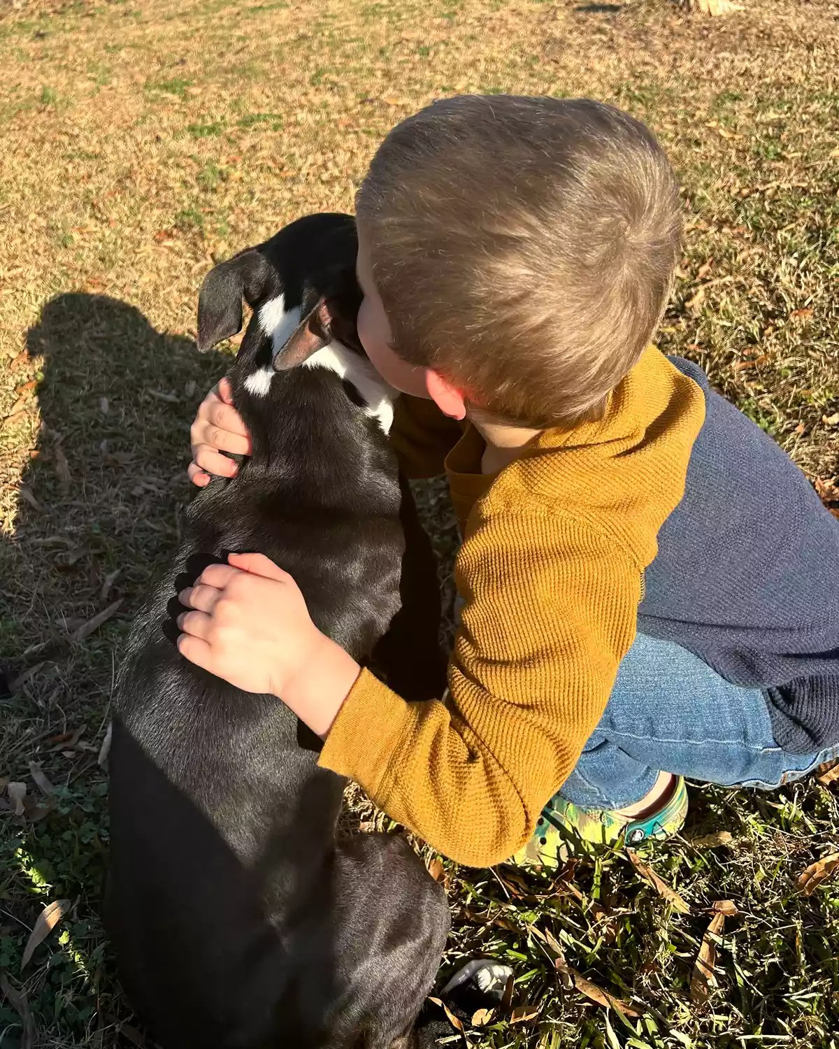 Dog abandoned in kennel, rescued